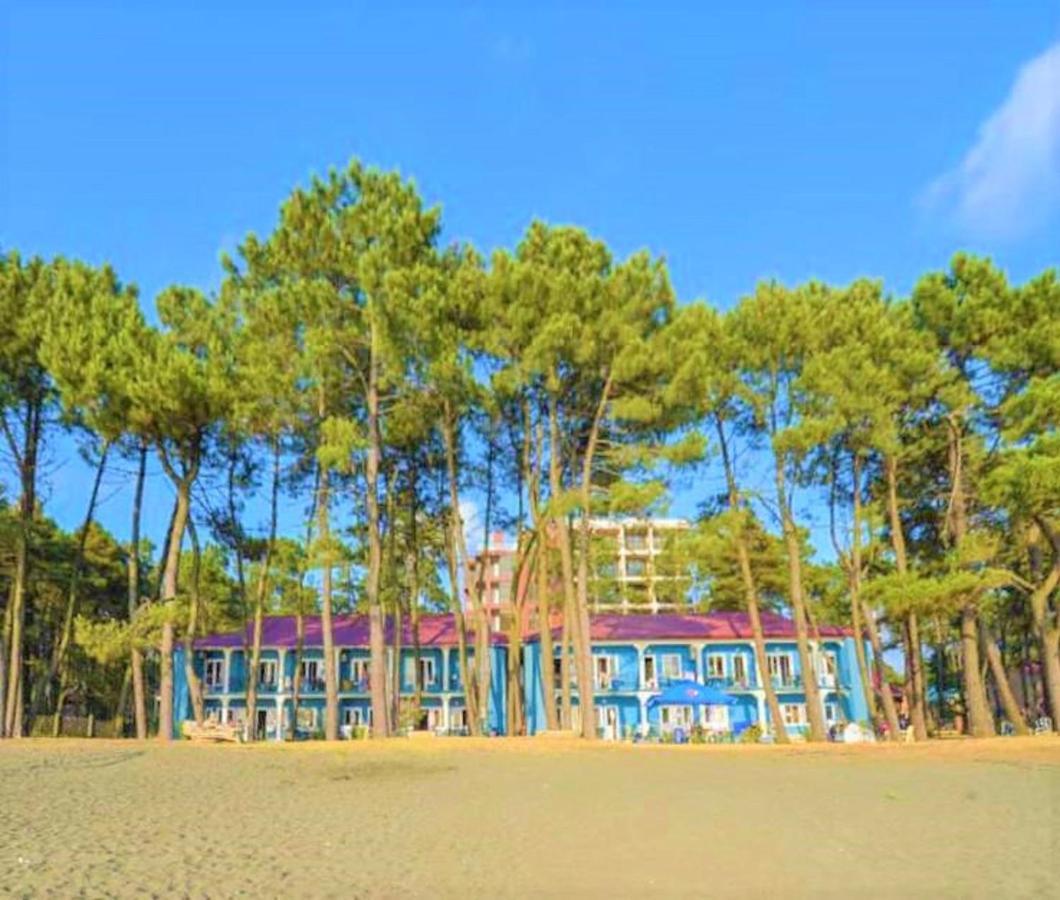Evrika Hotel Shekvetili Exterior photo